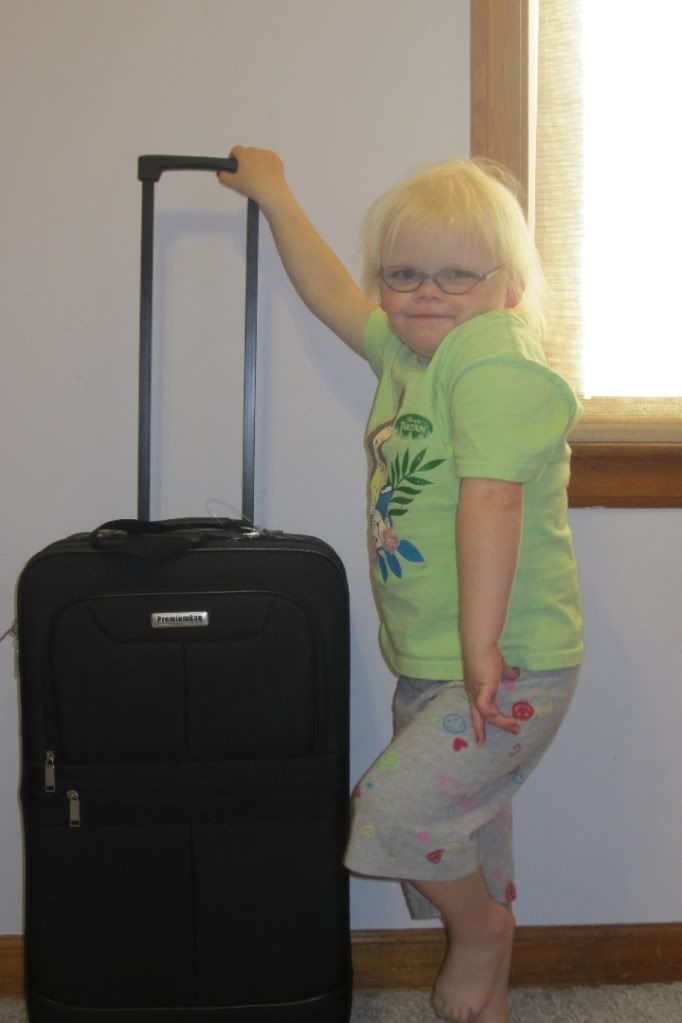 jetblue garment bag