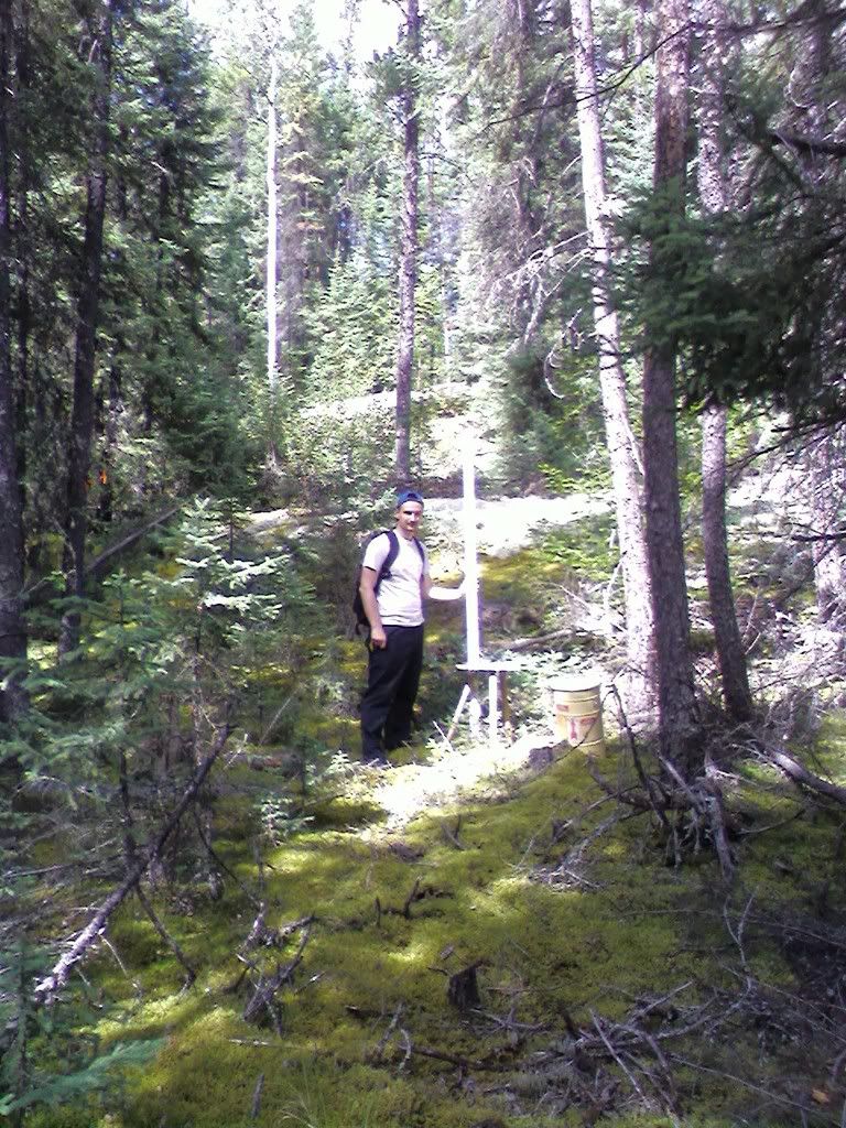 Troy in the woods