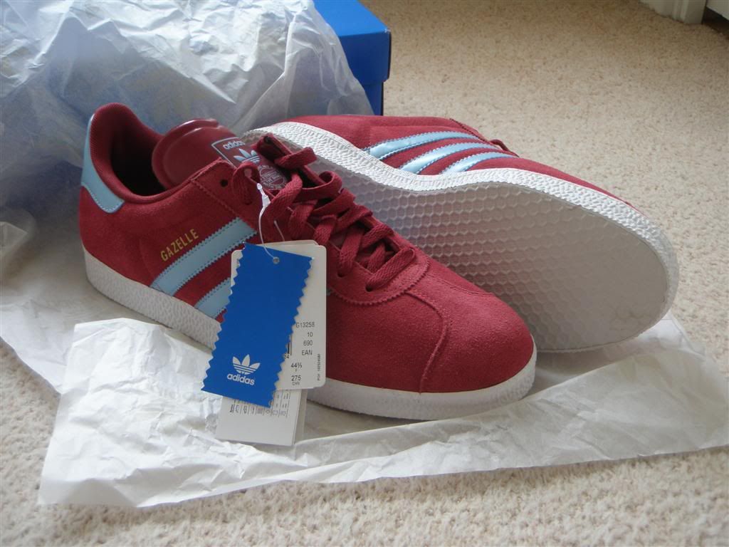 adidas 350 claret and blue trainers