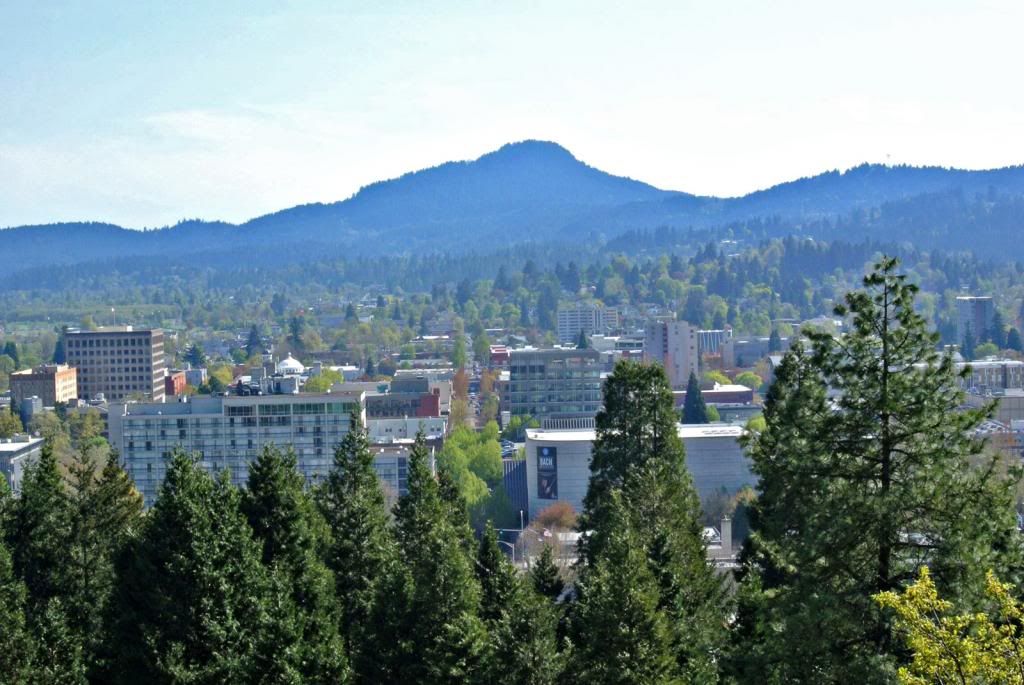 revised version of your second shot 