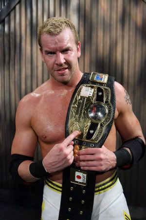 wwe divas championship belt. win the WWE Divas Title?
