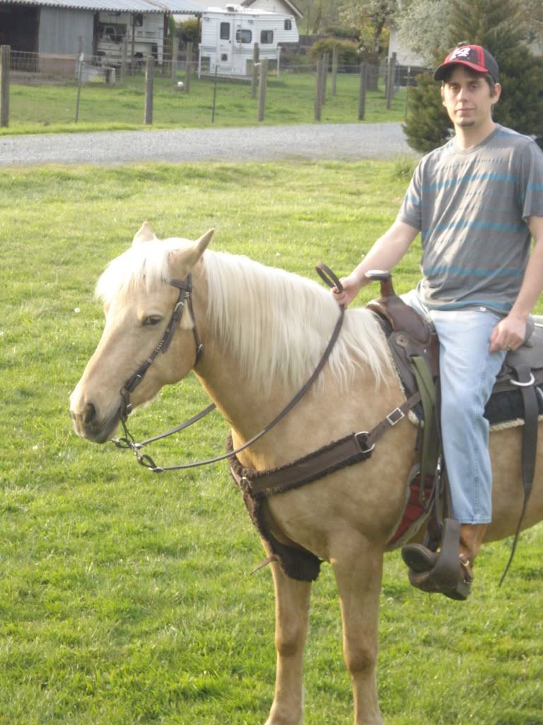feeding horses wheat straw? The Horse Forum