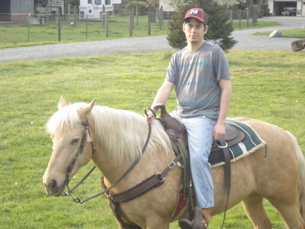feeding horses wheat straw? The Horse Forum