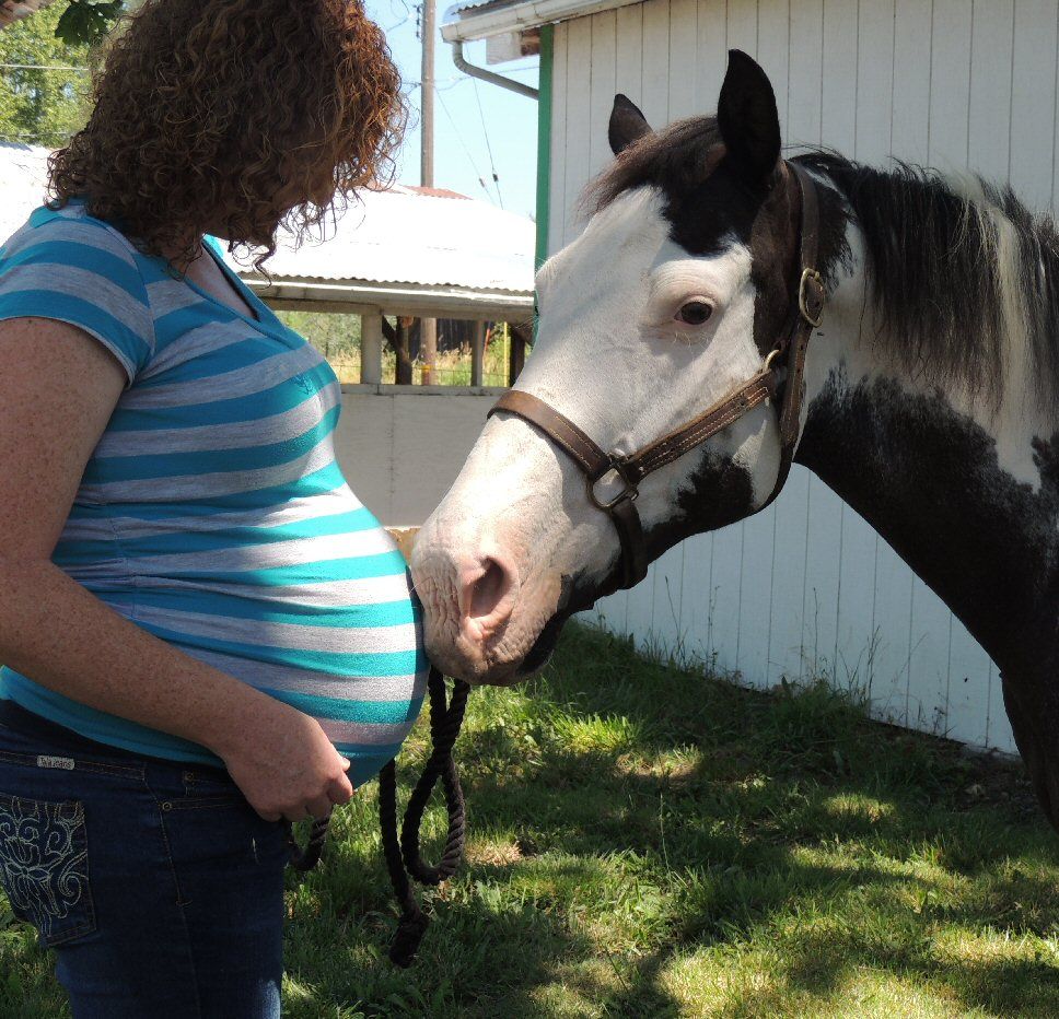 Maternity Horse/Family Pics! - The Horse Forum