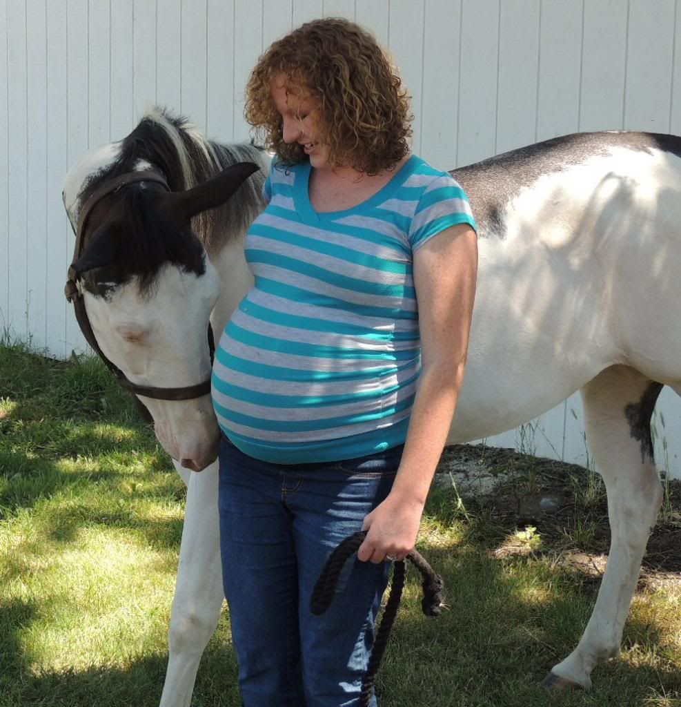 Maternity Horse/Family Pics! - The Horse Forum