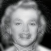 Ilusion Optica Marilyn Einstein