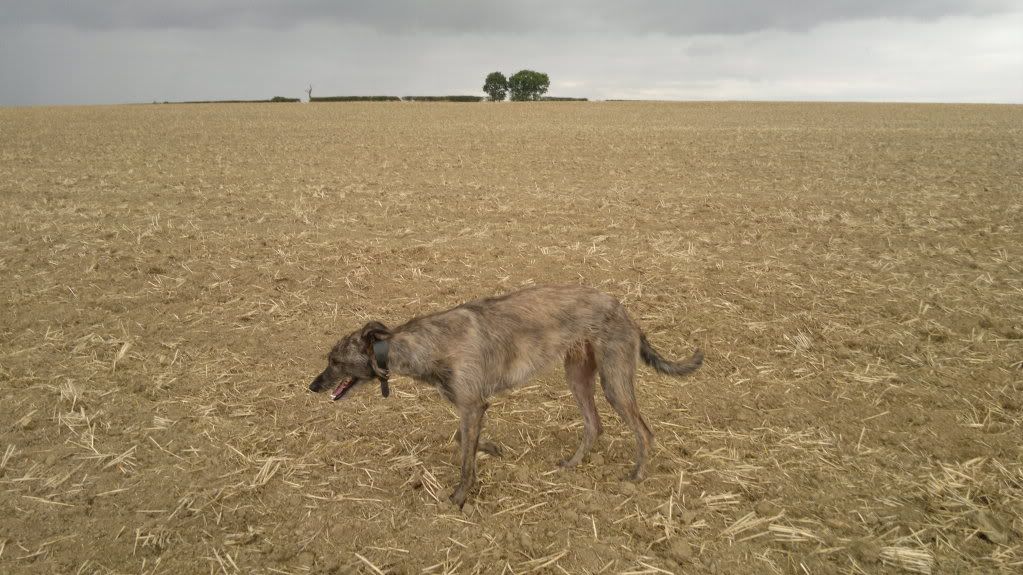 05092011262.jpg