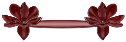 A11.jpg picture by Juliza_05