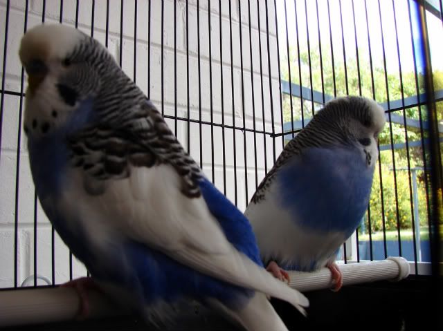 DSC02457-1.jpg