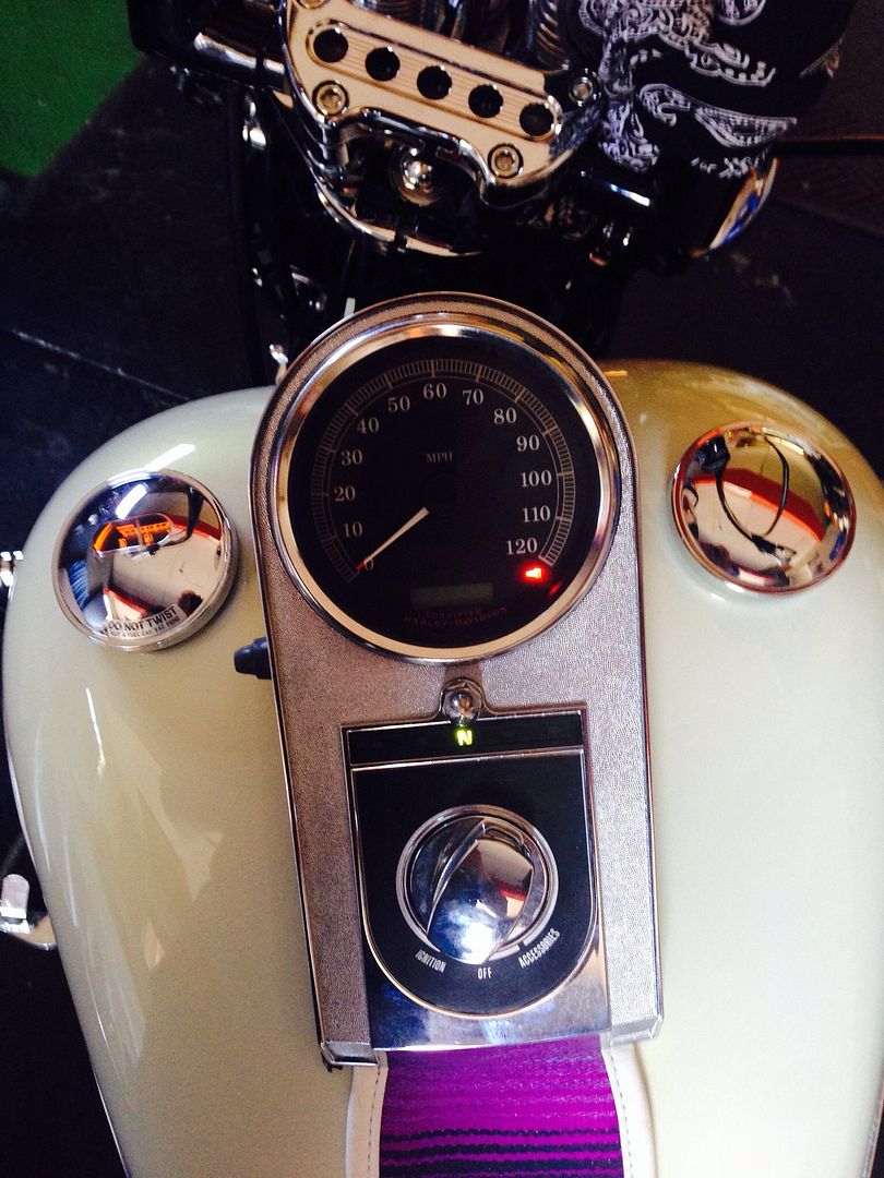 Speedo & indicators stopped working...help please Harley Davidson Forums