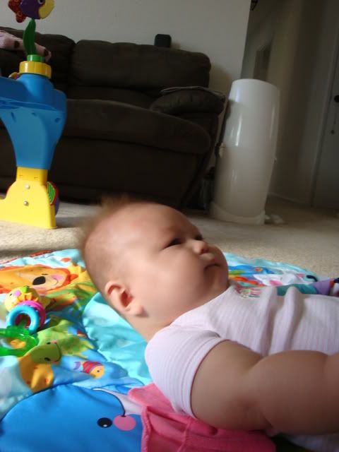 DSC03152.jpg picture by lsunahara