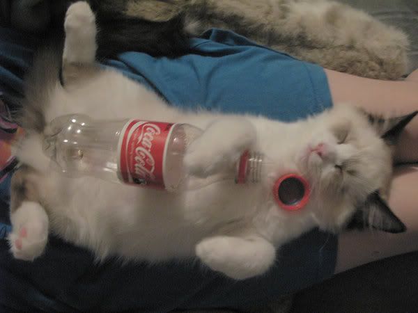 I_think_he_drank_too_much_by_Fieryg.jpg
