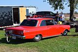  photo DSC_5558.jpg