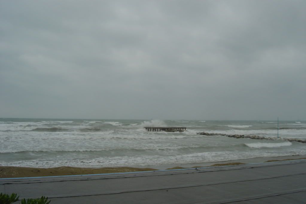 DSC02701.jpg