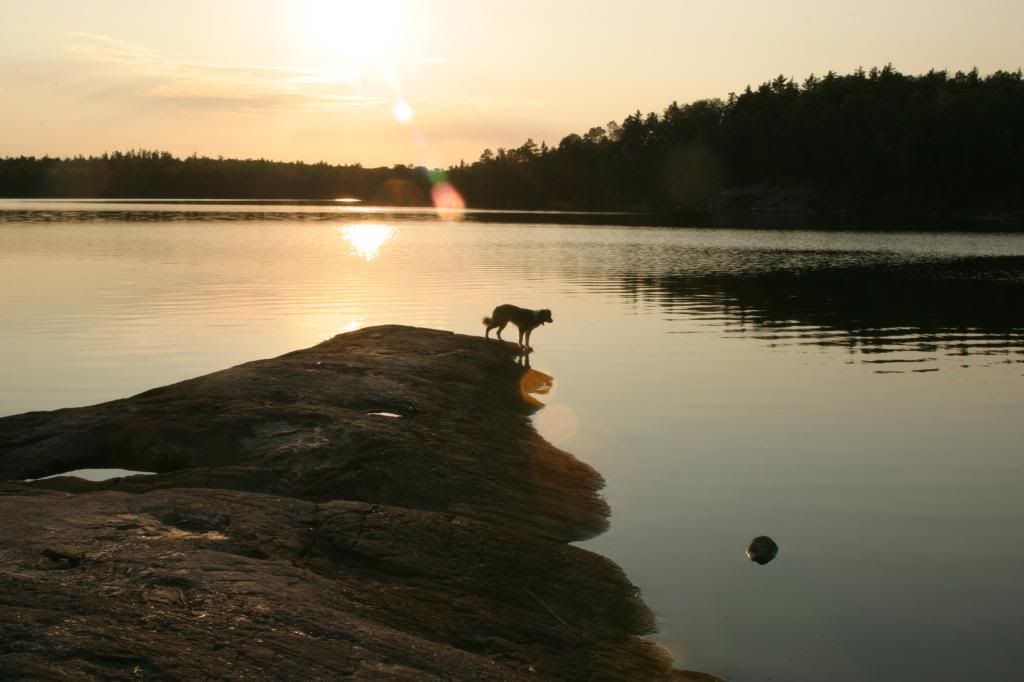 Gull Lake Site