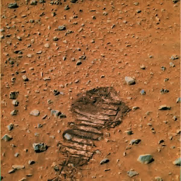 Фото марсианской поверхности (16 фото)
