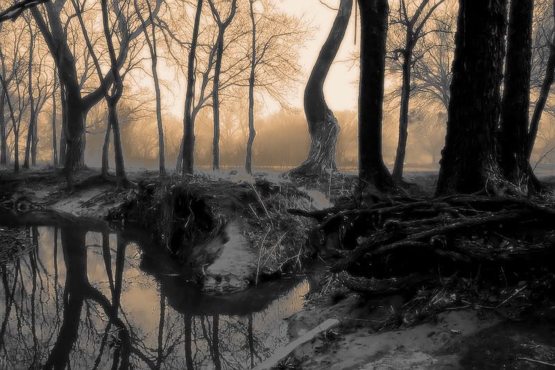 IMAGE: http://i209.photobucket.com/albums/bb50/firu3000/Beforeafter15.jpg