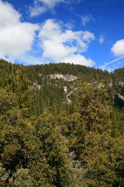 IMAGE: http://i209.photobucket.com/albums/bb50/firu3000/YSALAM.jpg