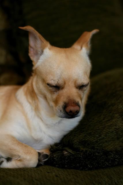 IMAGE: http://i209.photobucket.com/albums/bb50/firu3000/fuir.jpg