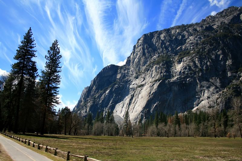 IMAGE: http://i209.photobucket.com/albums/bb50/firu3000/re.jpg