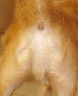 canyouseejesus.jpg