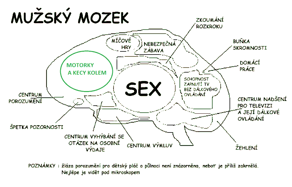 Obrázek