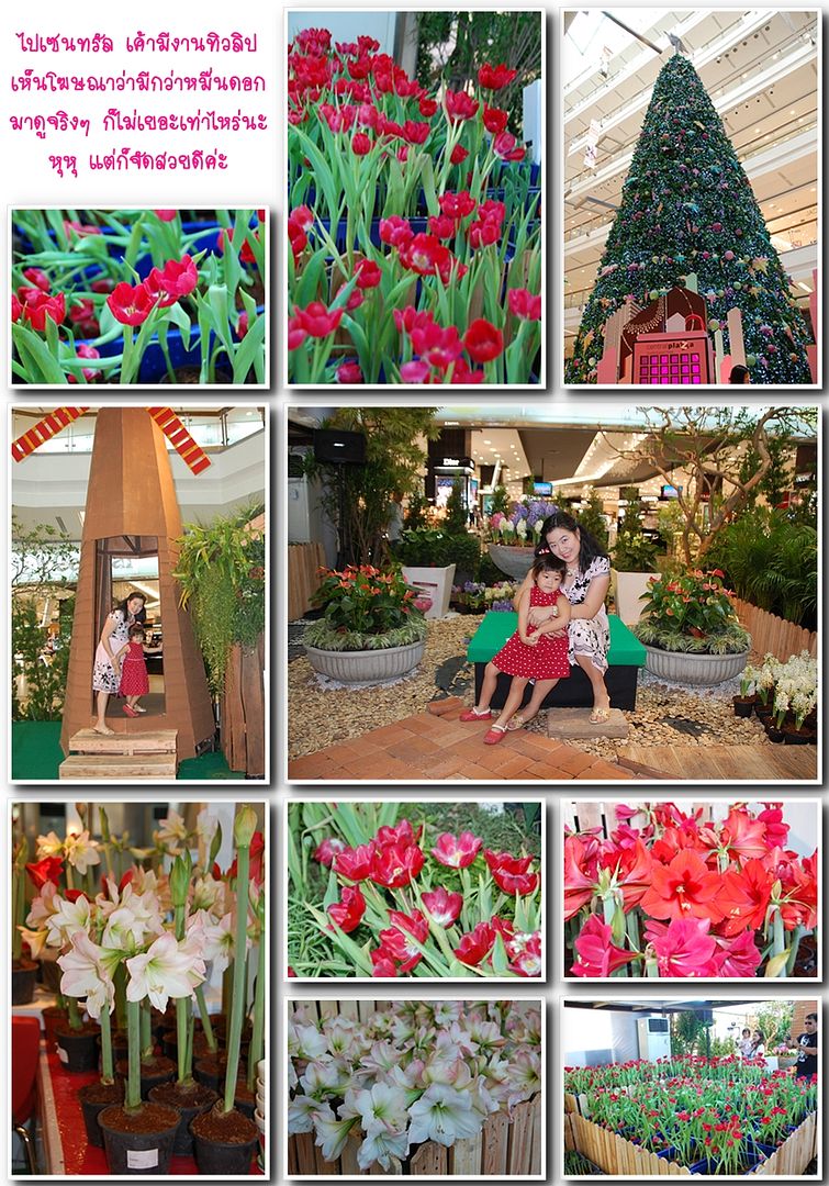 งานคริสมาสต์ที่รร school report