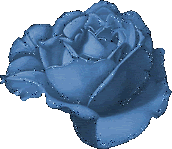 rose01f.gif picture by popeyeyoliva