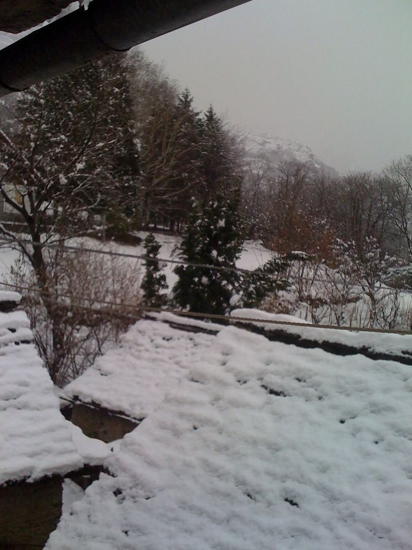 Immagine Postata