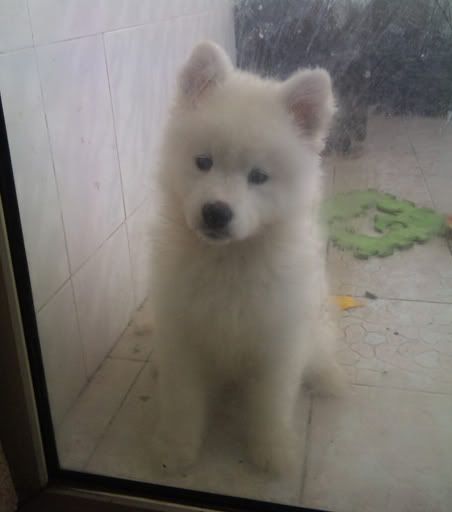 图片点击可在新窗口打开查看