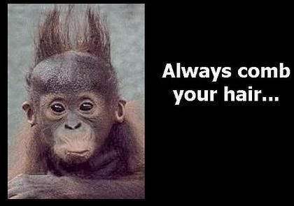bad_hair_day_1.jpg