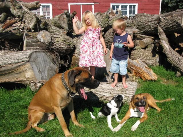 Dude is gone :-( - Countryside Families