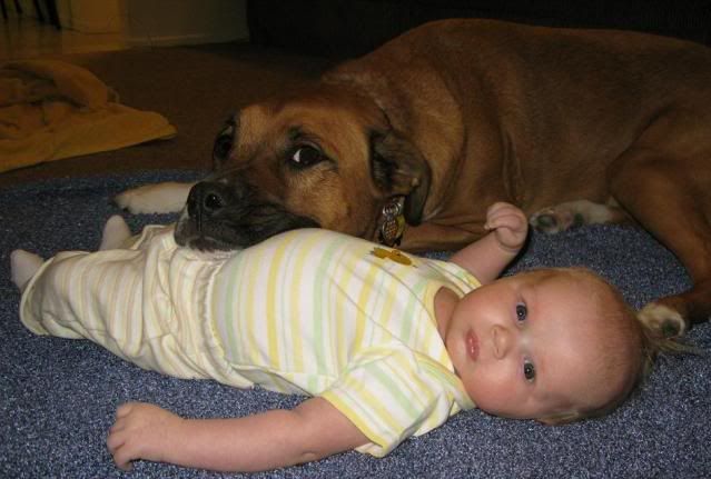 Another Update for on Dude! - Countryside Families