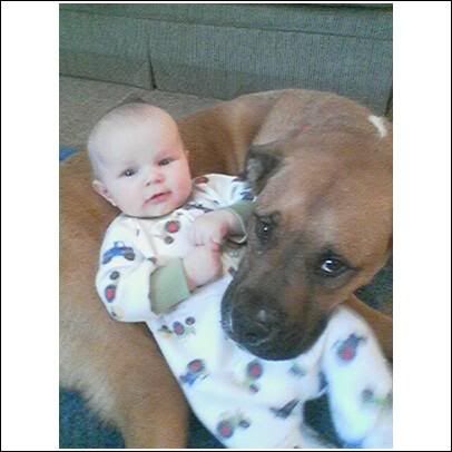 Dude is gone :-( - Countryside Families