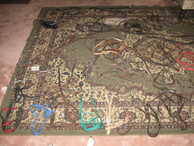 How much to sell horse tack for on Craingslist...pics included - Equine