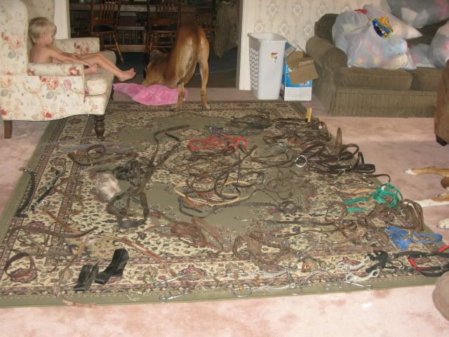 How much to sell horse tack for on Craingslist...pics included - Equine