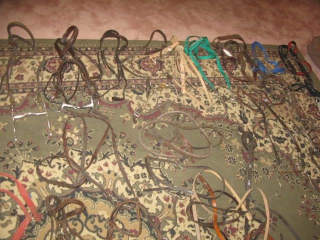 How much to sell horse tack for on Craingslist...pics included - Equine