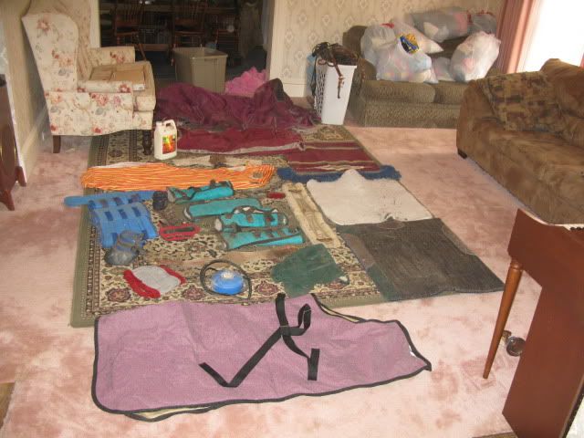 How much to sell horse tack for on Craingslist...pics included - Equine