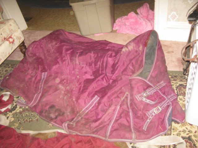 How much to sell horse tack for on Craingslist...pics included - Equine