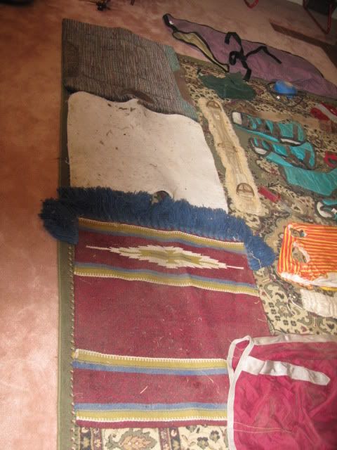 How much to sell horse tack for on Craingslist...pics included - Equine