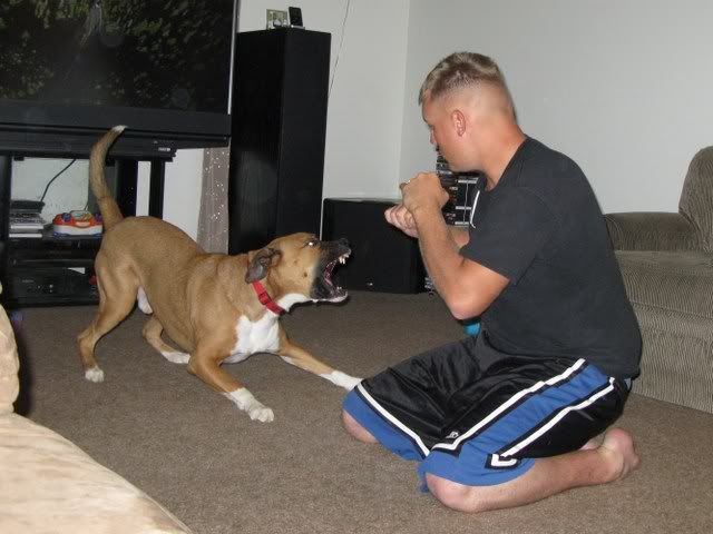 Dude is gone :-( - Countryside Families