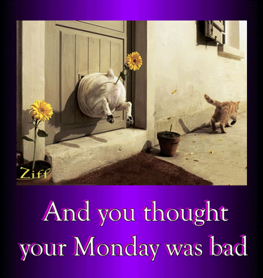 Animation1f4f6.gif CAT ANIMA image by robeth_01