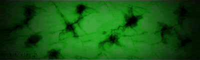 technophobe-1.gif