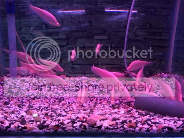 IMG_2481.jpg