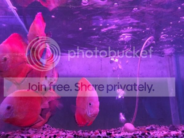 IMG_2484.jpg