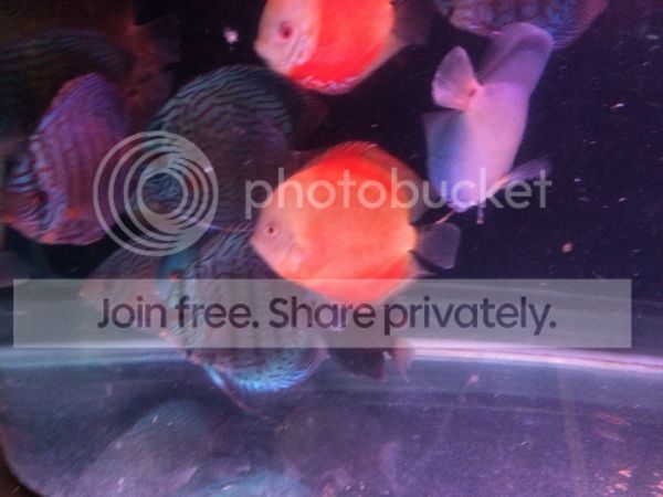 IMG_2489.jpg