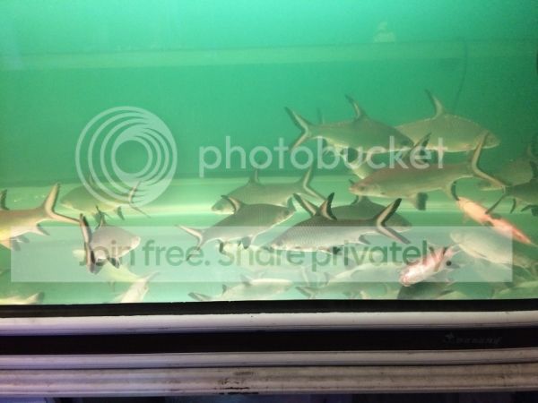 IMG_2491.jpg