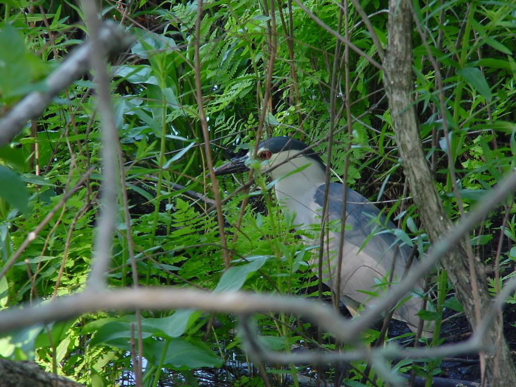 [PokeCommunity.com] My Nature Photography...check it out. :]