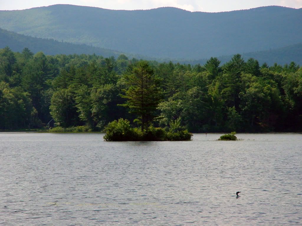 [PokeCommunity.com] My Nature Photography...check it out. :]