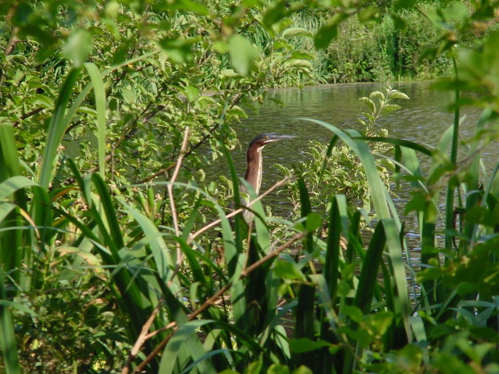[PokeCommunity.com] My Nature Photography...check it out. :]